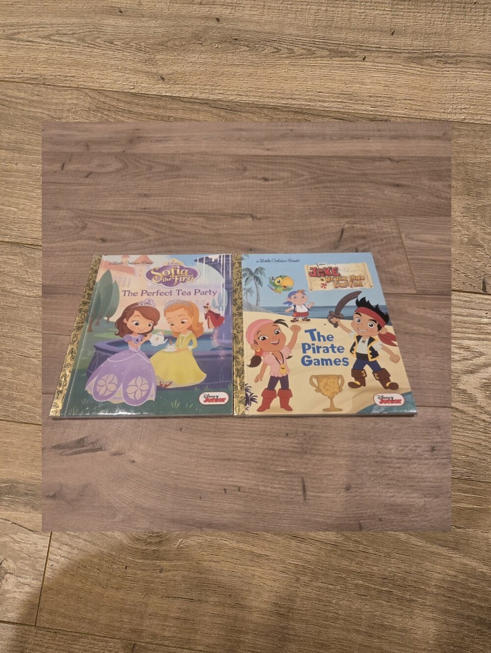 Disney Junior 2pc little golden book summer reading set Sofia & jake